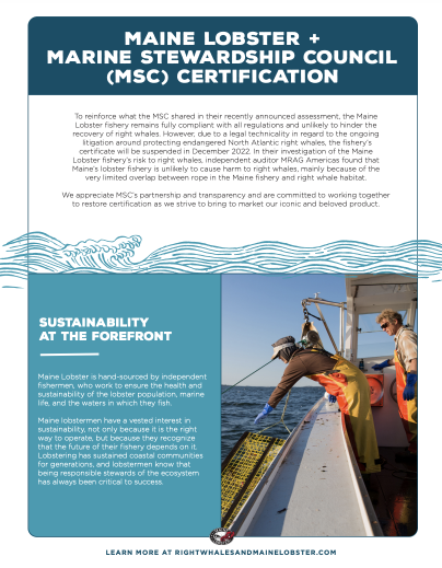 Maine Lobster + Marine Stewardship Council (MSC) Certification Fact Sheet